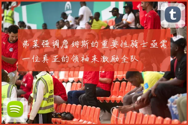 弗莱强调詹姆斯的重要性骑士亟需一位真正的领袖来激励全队